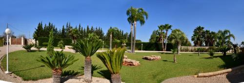 Villa Taranta — Racale — photo 3