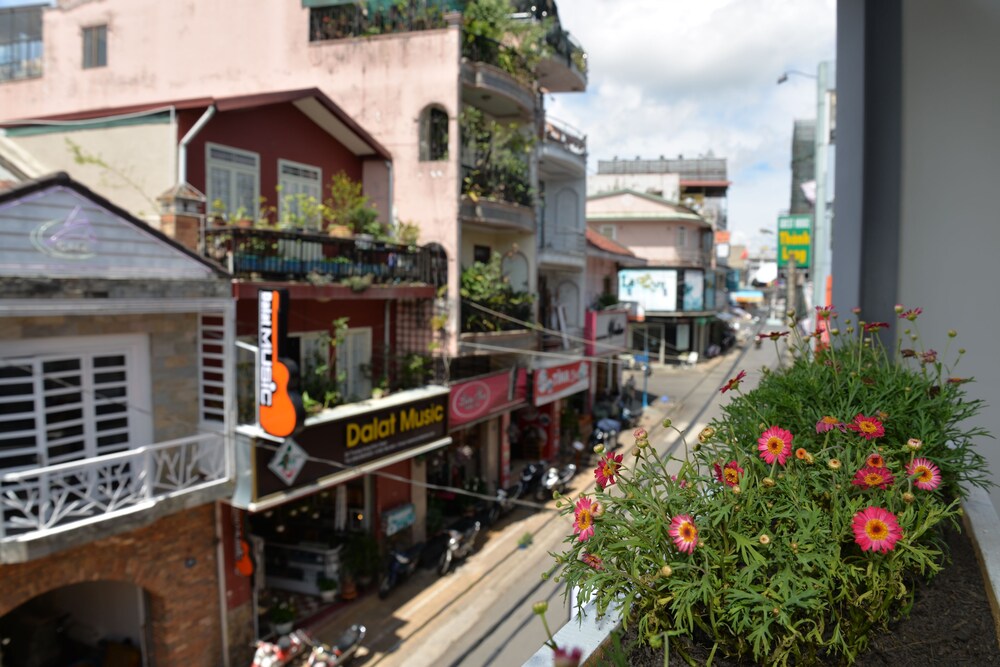 Amis Hotel - carbon neutral hotel in Da Lat