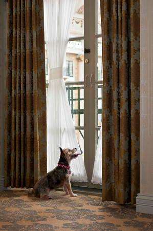 West Baden Springs Hotel - photo 27