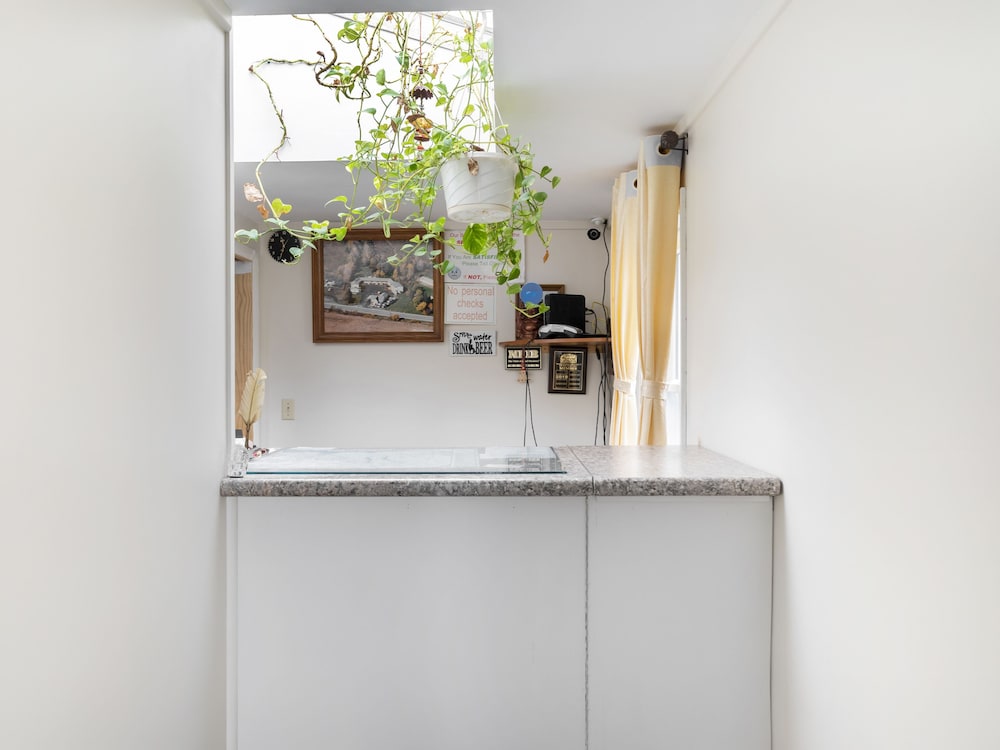 OYO Hotel Starlite Seneca Falls - photo 4