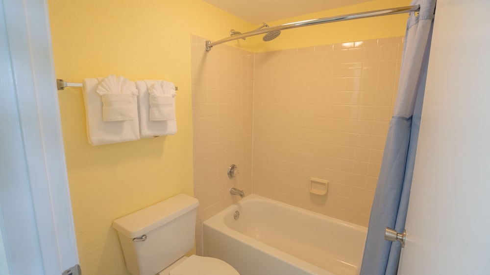 Blue Tree Resort at Lake Buena Vista - photo 41
