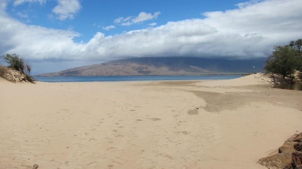 Kihei Bay Vista #C 101 - photo 4