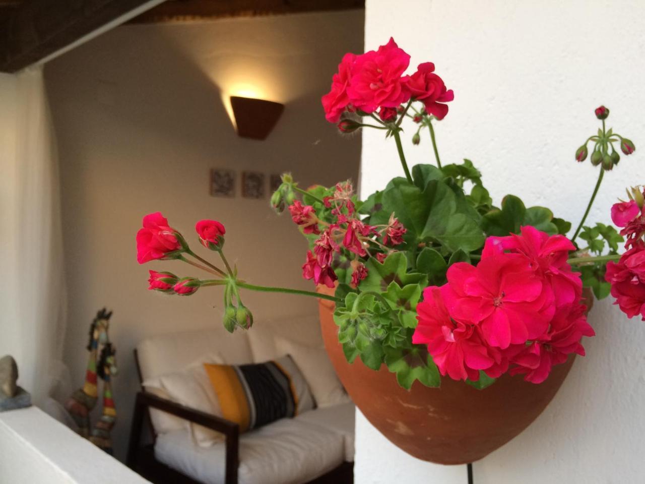 Casa Da Galega 15043396 — Golega