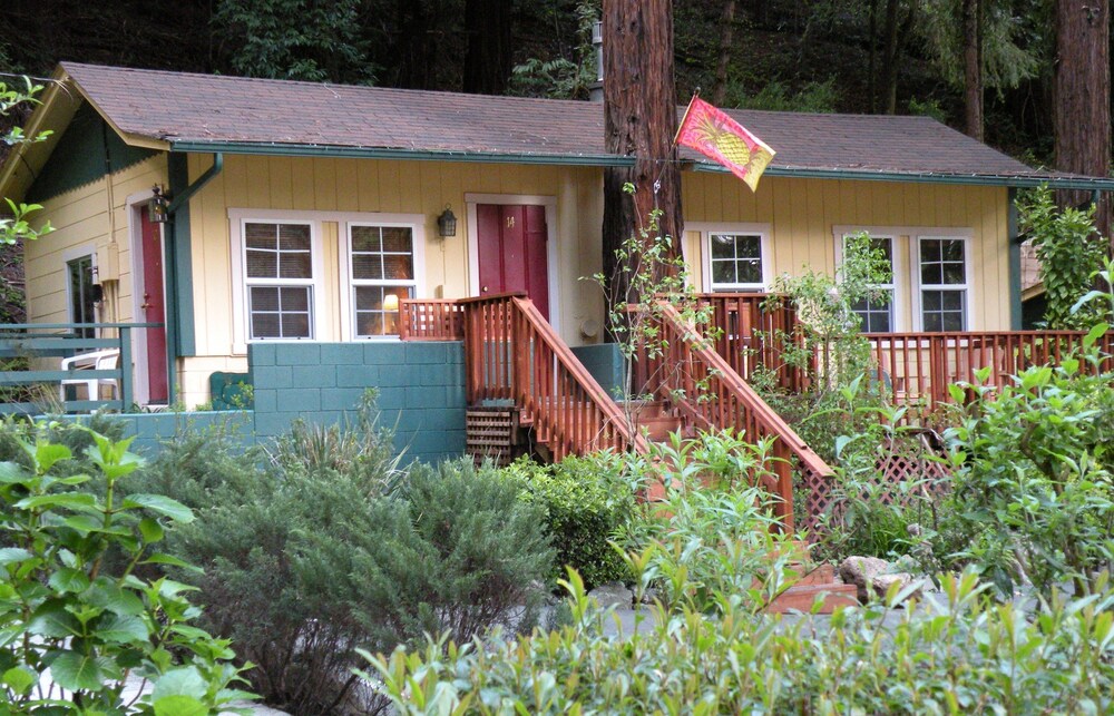 Fern Grove Cottages - photo 90