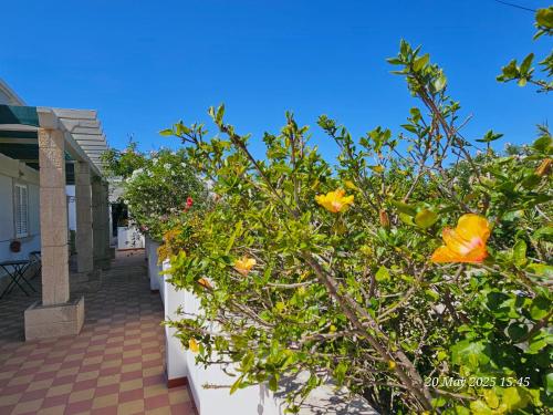 Blife Salinya private rooms at N125 in Olhao, Portugal