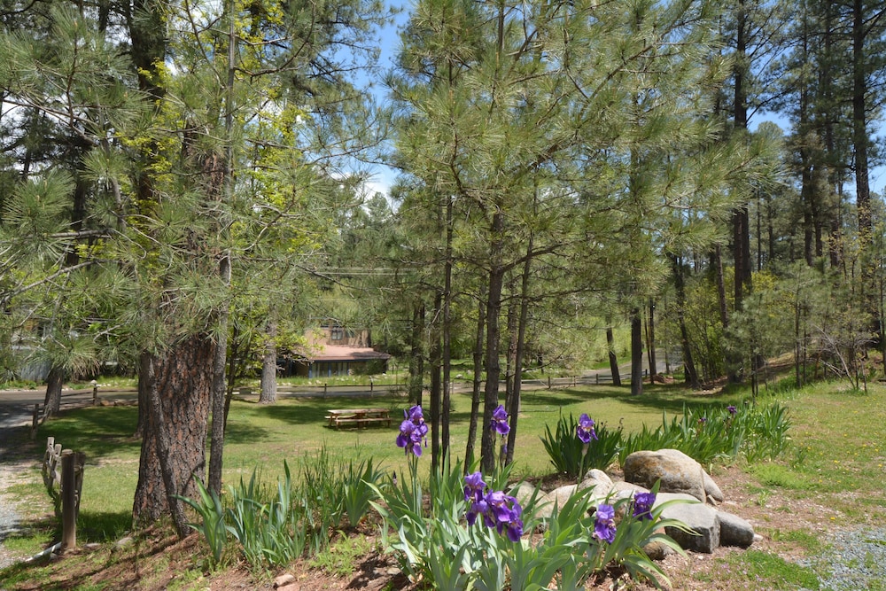 Upper Canyon Inn & Cabins - photo 160