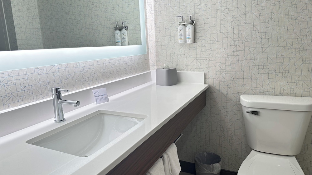 Holiday Inn Express & Suites Prospect Heights by IHG - photo 20