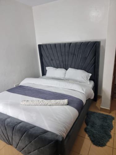2 bedroom Airbnb TRM drive Roysambu
