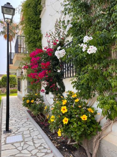 Duplex Olimp Vera Costa in Vera, Spain