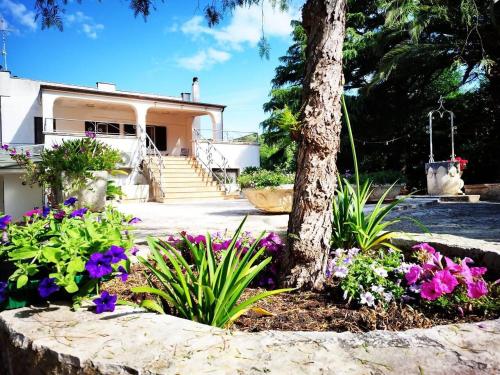 Villa Albarosa Ostuni — 4-Star Luxury Hotel in Ostuni, Italy