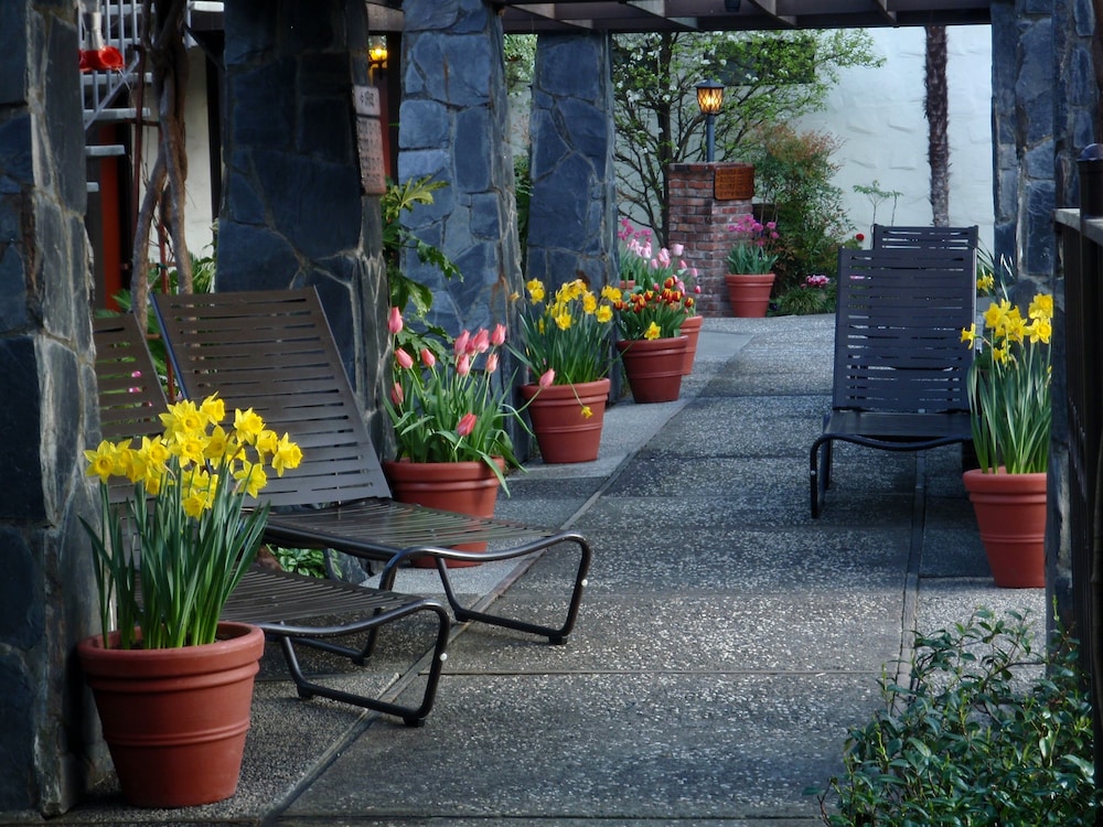 Roman Spa Hot Springs Resort - photo 20