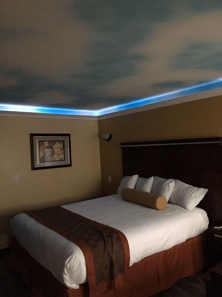 Hollywood Palms Inn and Suites - photo 31