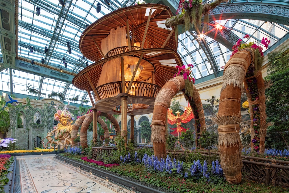 שטחי חוץ / גן