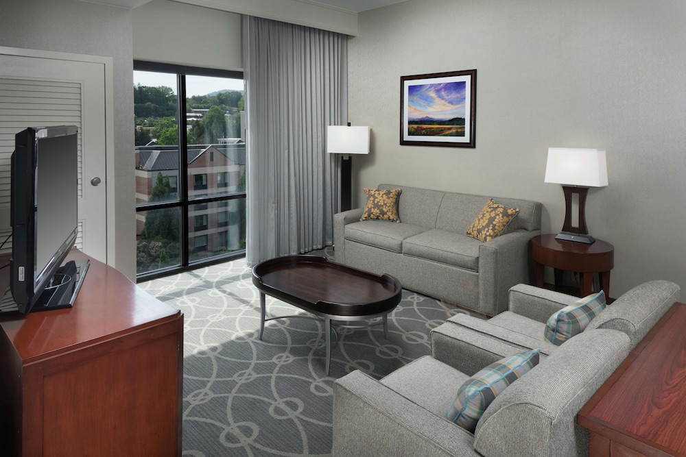 DoubleTree by Hilton Asheville Biltmore - photo 43