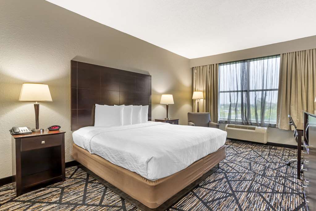 Best Western Plus Hobby Airport Inn & Suites - photo 3