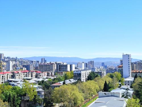 Cozy 1BR Apt near Metro Station on Saburtalo.