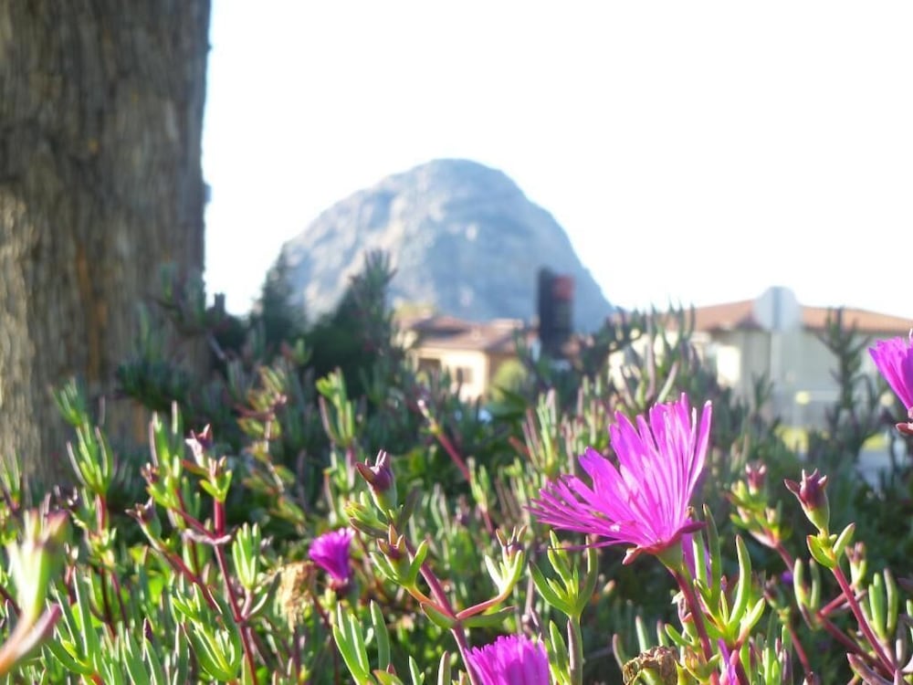 Morro Bay Sandpiper Inn - photo 24