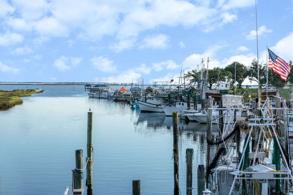 Super 8 by Wyndham Ocean Springs Biloxi - photo 15