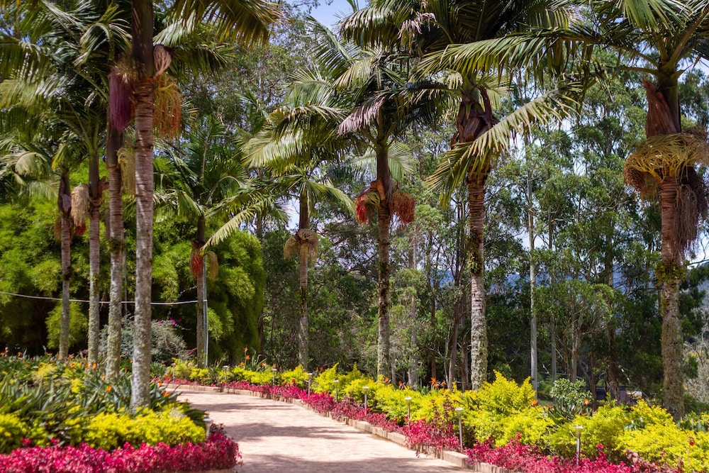 Mountains of Hope in Rionegro, Colombia
