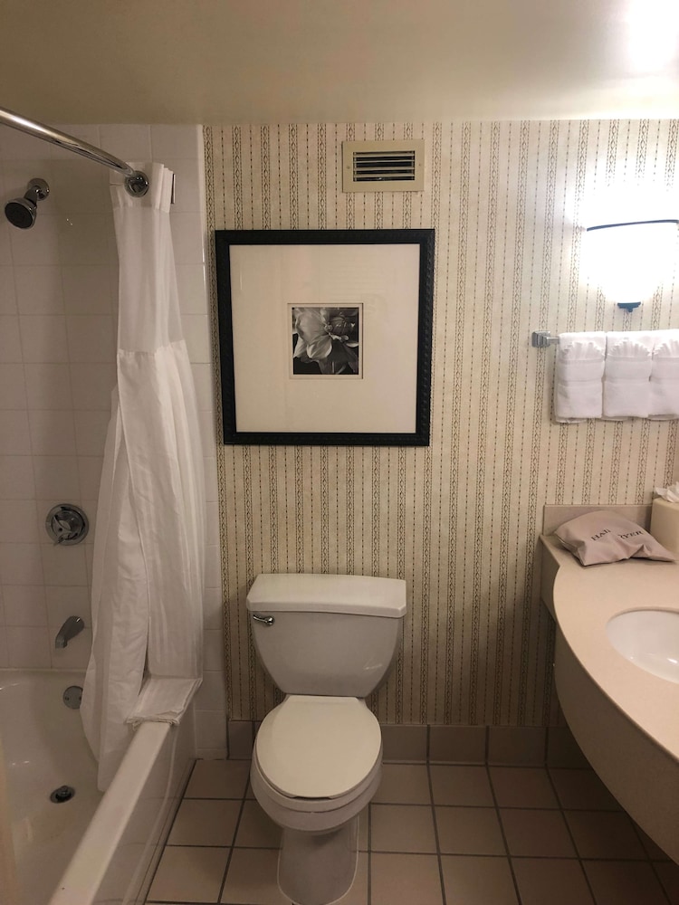 Hilton Garden Inn Addison - photo 20