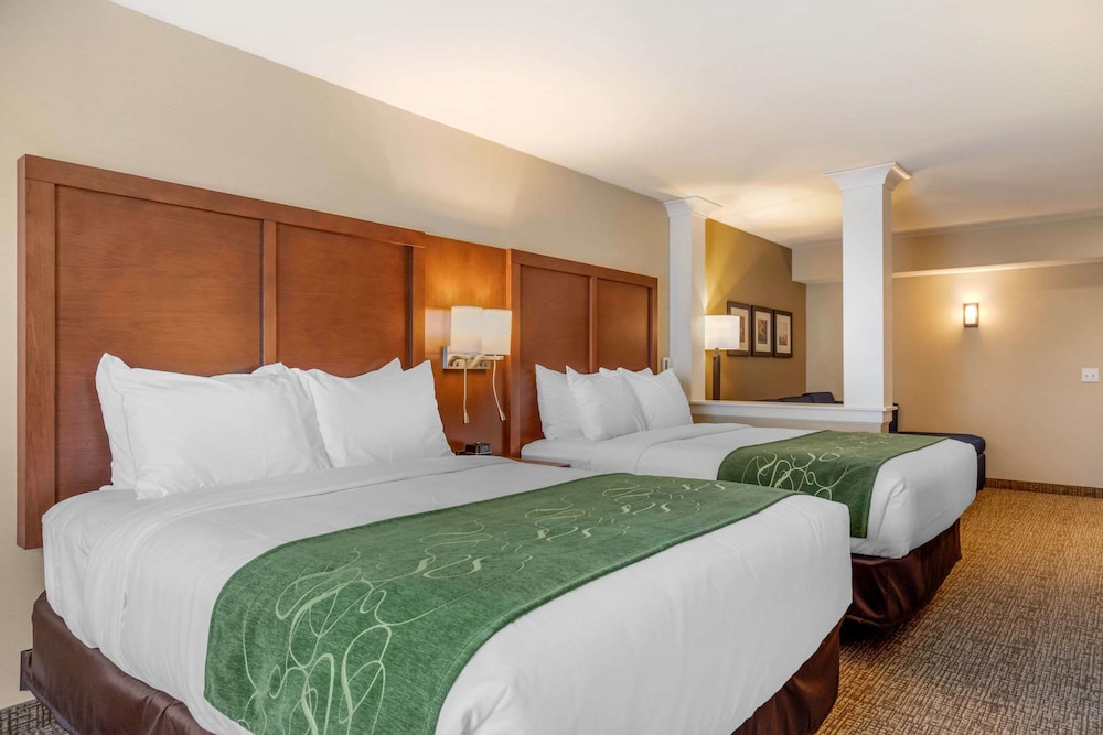 Comfort Inn & Suites Schenectady Scotia - photo 9
