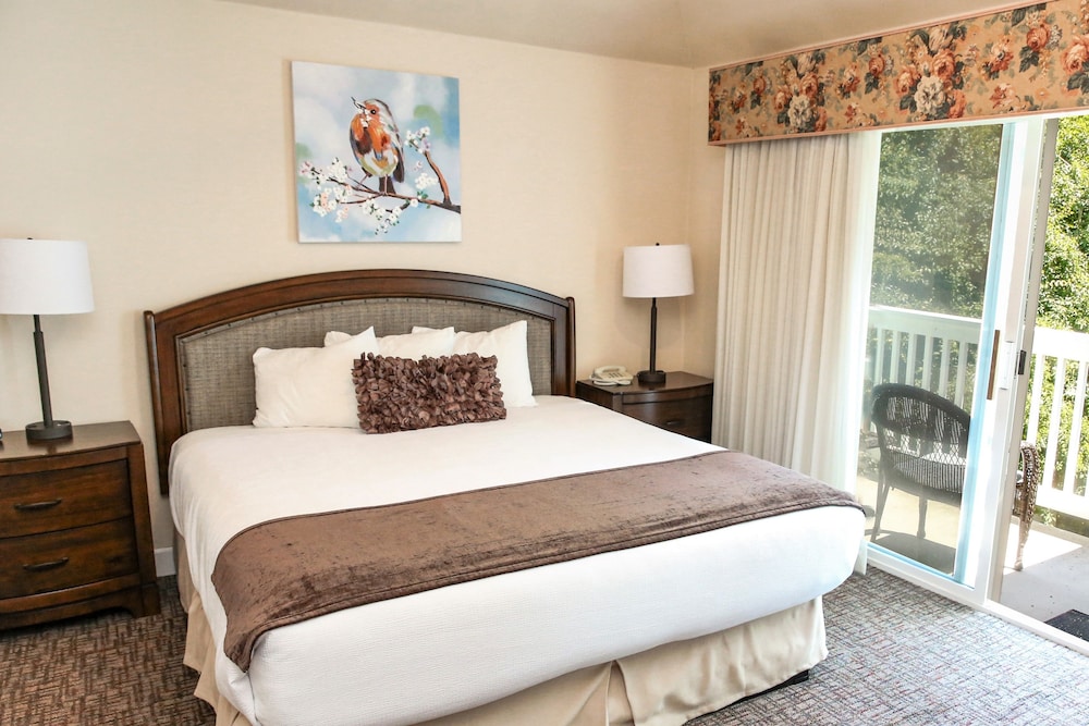 Bluebird Inn - photo 4