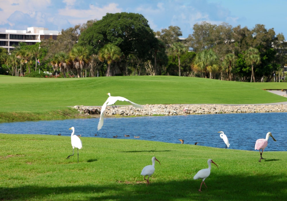 The Resort at Longboat Key Club - photo 53
