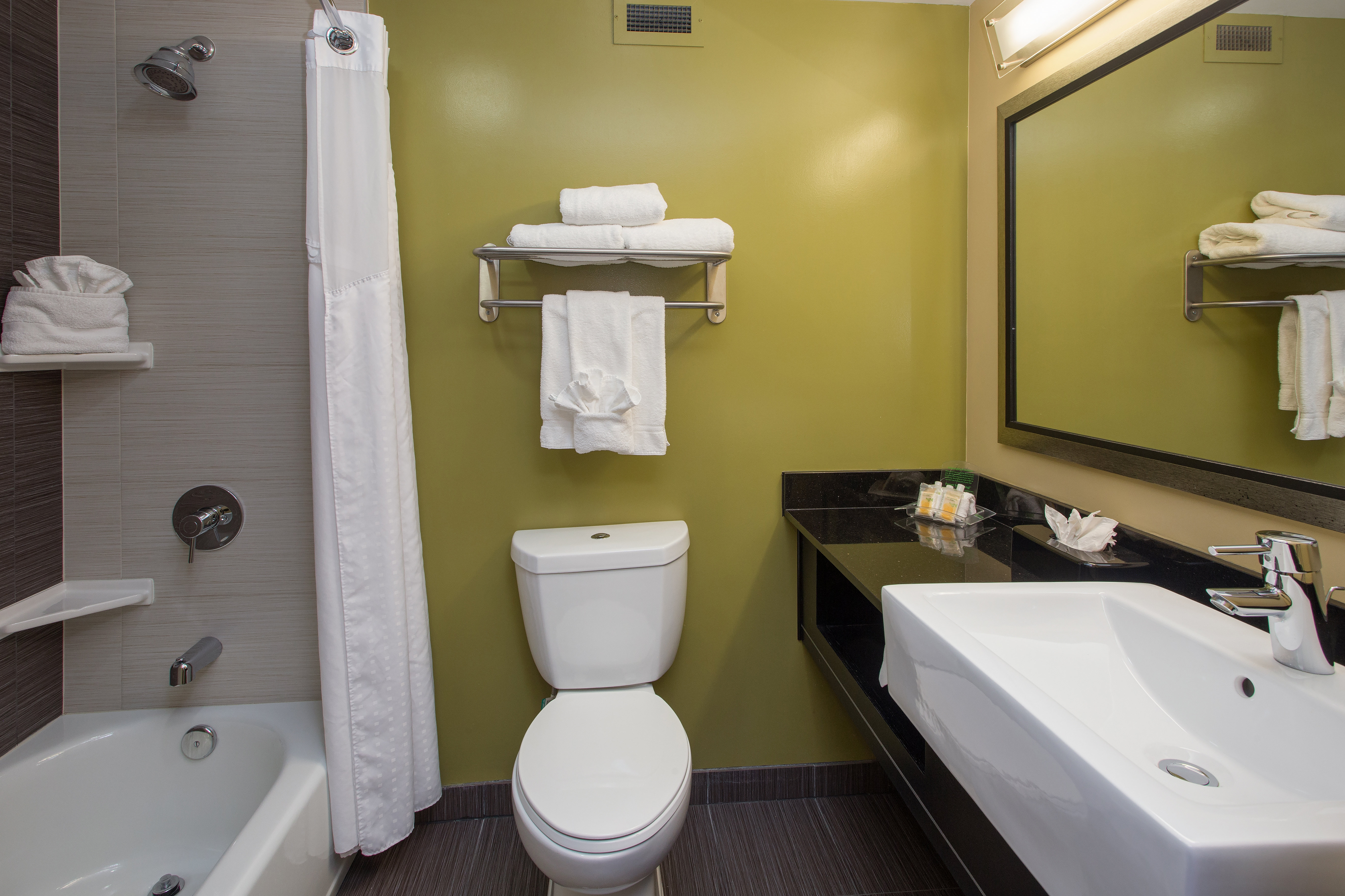 Holiday Inn North Phoenix - photo 45