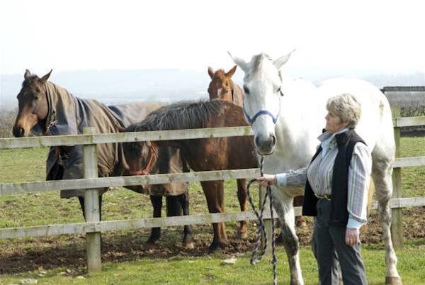 Cleers View Farm — 4-Star Luxury Hotel in Somerton, United Kingdom