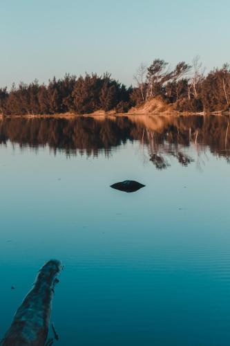The Prawn Hatchery Pty Ltd on Amatikulu in Richards Bay, South Africa