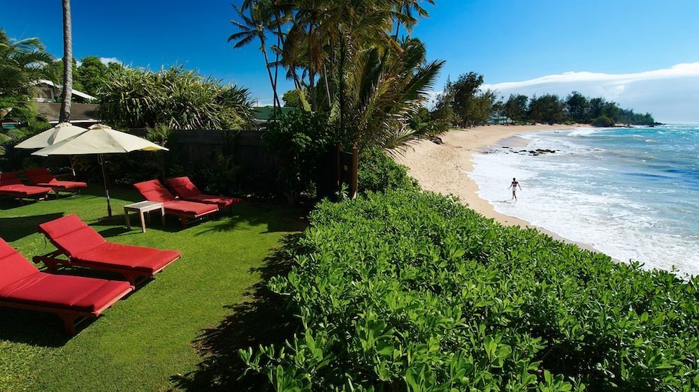 Maui Beachcomber - photo 4