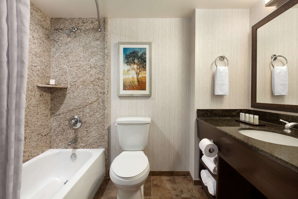 Embassy Suites by Hilton Brea North Orange County - photo 20