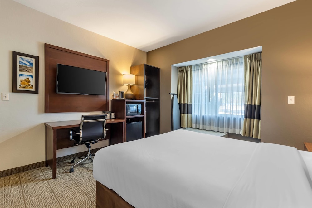 Comfort Inn & Suites Aztec Farmington Area - photo 27