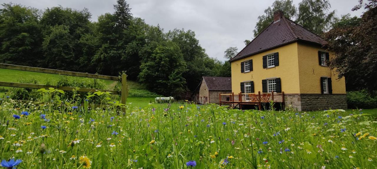 Charmantes Forsthaus beim Sorpesee — hotel in Sundern