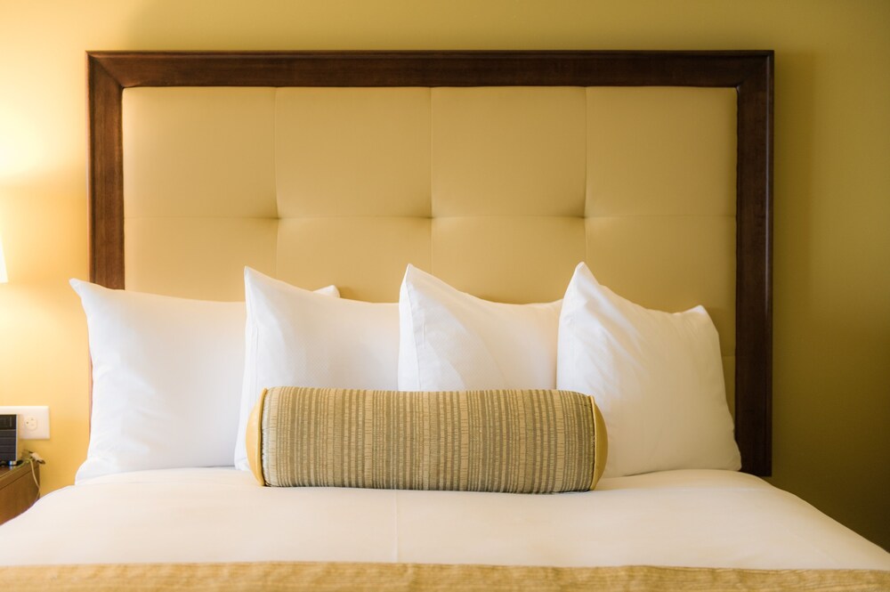 The Edgewater - photo 18