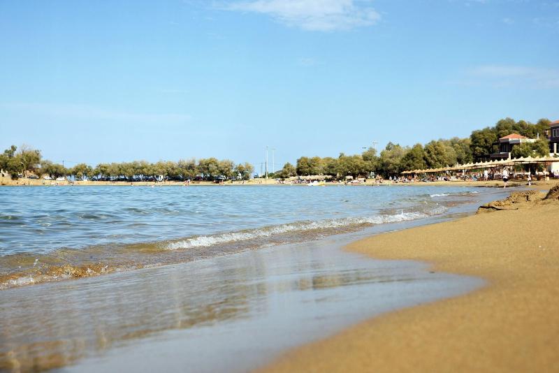 Iolkos Hotel Apartments — Perivolia