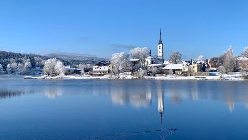 Wellness & Spa Apartments Lipno Frymburk — 4-Star Luxury Hotel in Frymburk, Czech Republic