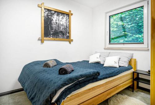 Domki Adamus in Kudowa-Zdroj, Poland