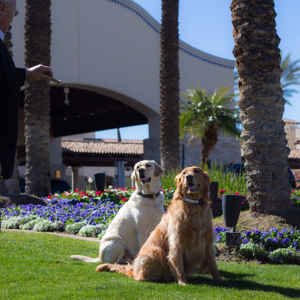 Fairmont Scottsdale Princess - photo 219