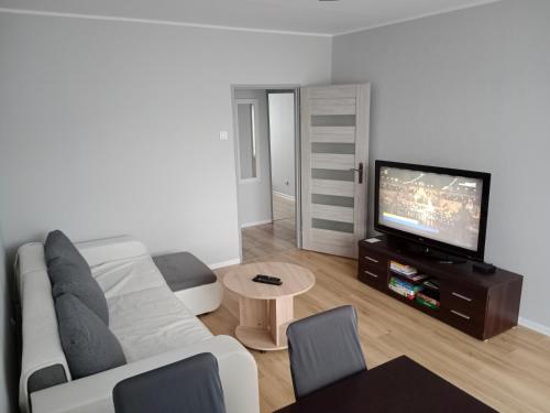 Duzy Apartament Z Widokiem Na Gory 3 Pokoje 19419260 — Bielawa