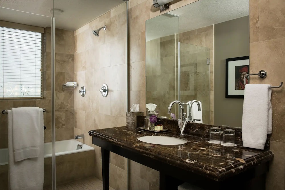 Hotel Zaza Houston Museum District - photo 24