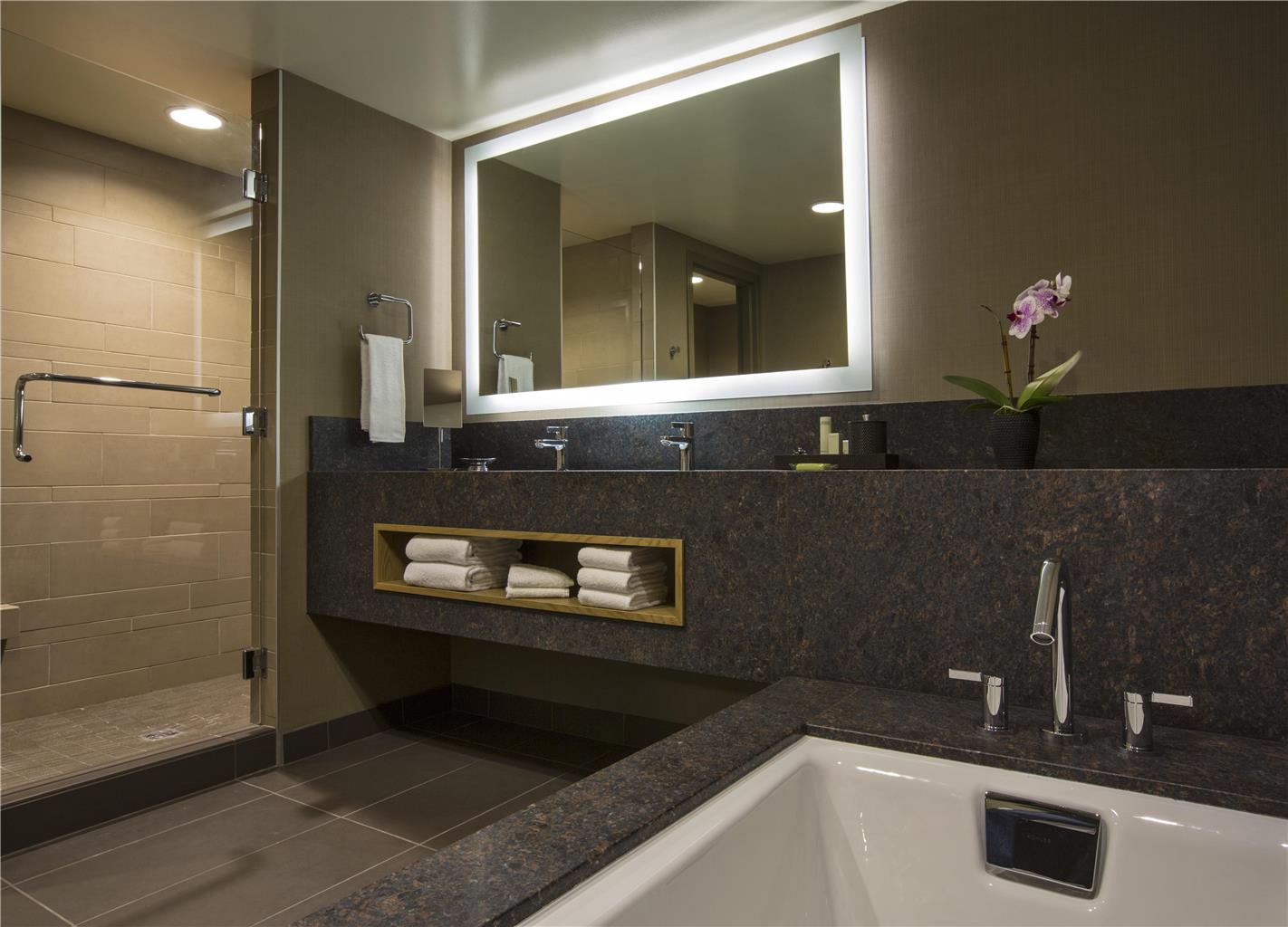 Hyatt Regency Lake Tahoe Resort Spa and Casino - photo 6