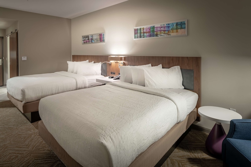 Hilton Garden Inn Dallas at Hurst Conference Center - photo 13