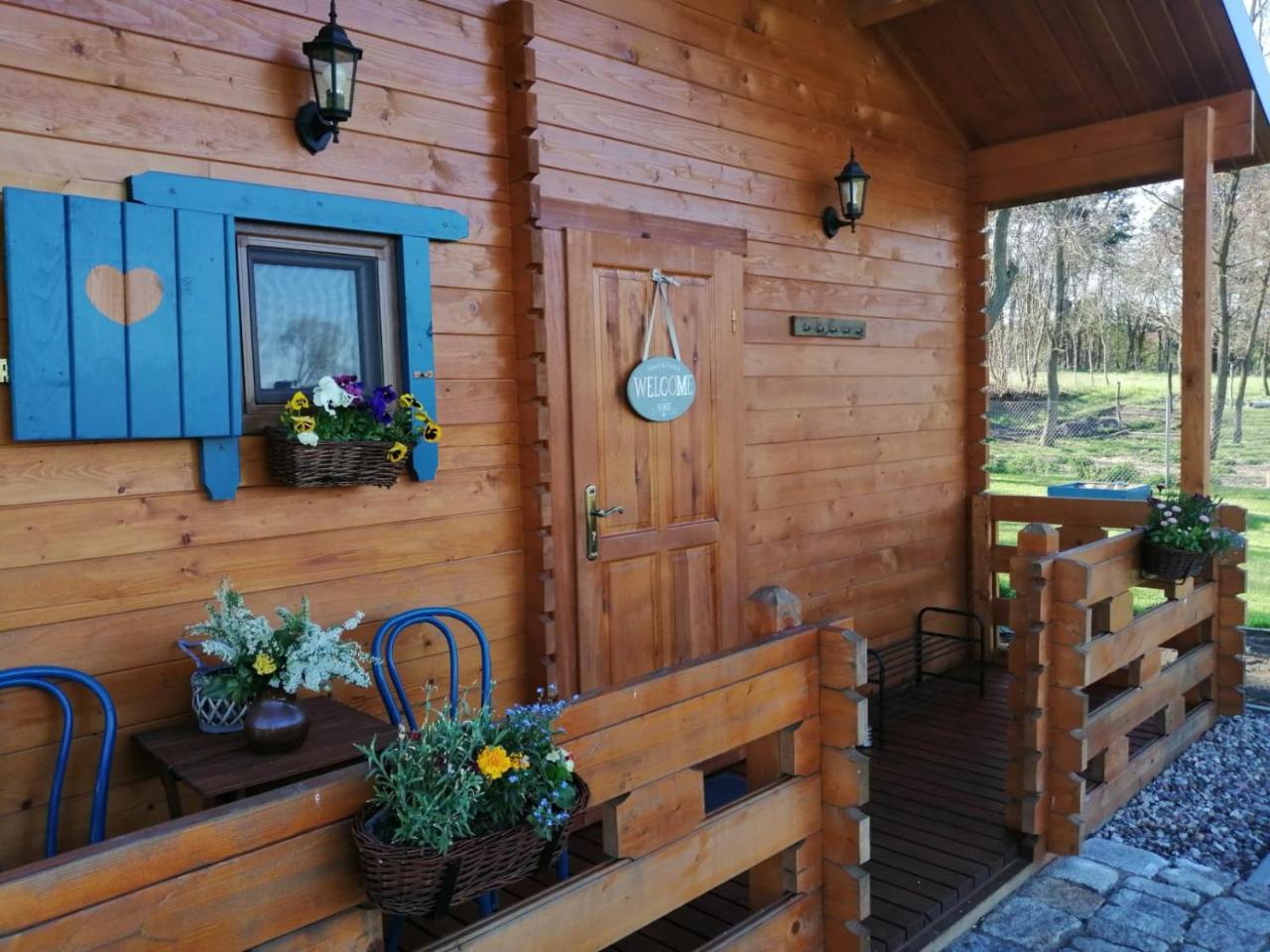 Smocze Ranczo — hotel in Osno Lubuskie