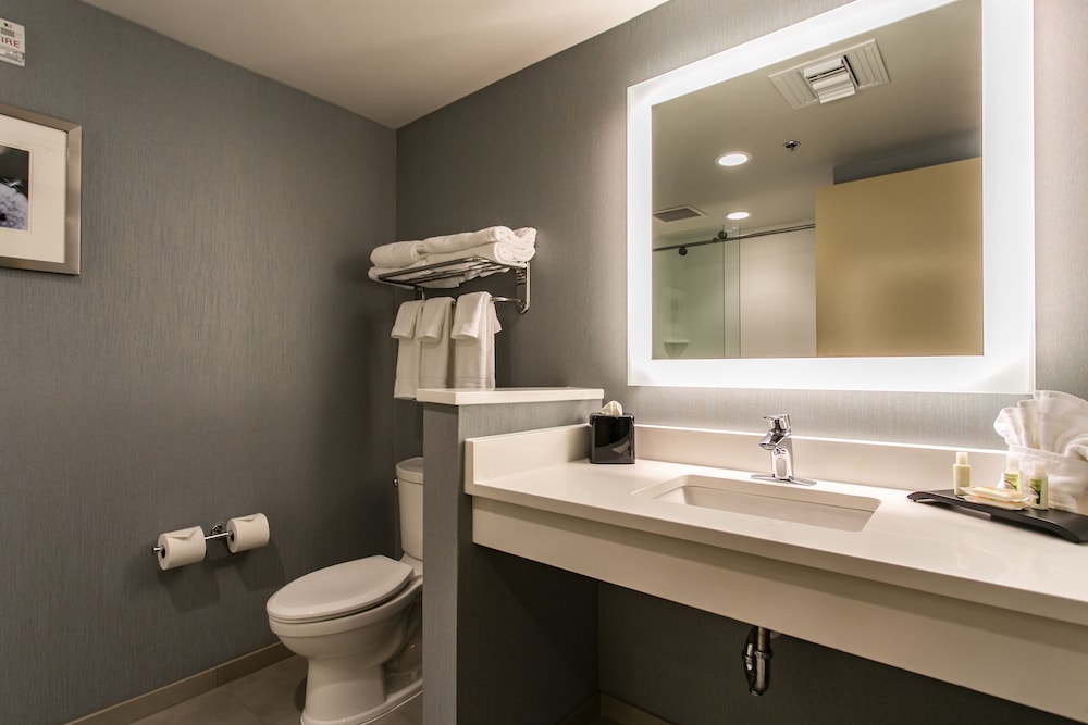 Holiday Inn Hotel & Suites Chattanooga Downtown by IHG - photo 23