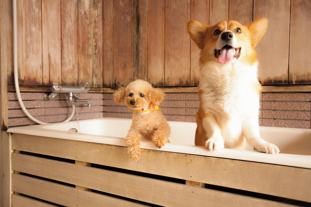 Wan Wan Paradise Takayama in Takayama, Japan