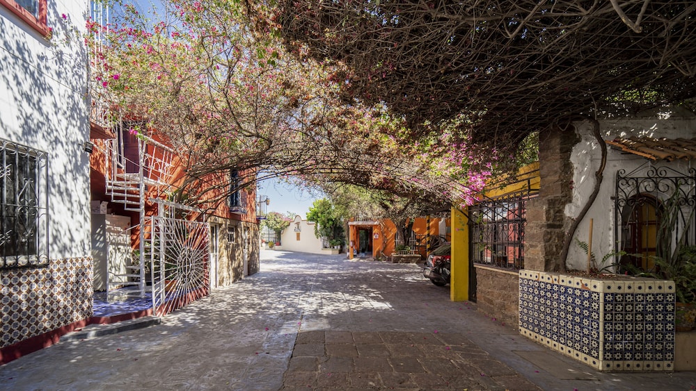 Hotel Posada Bugambilias in San Luis Potosi, Mexico