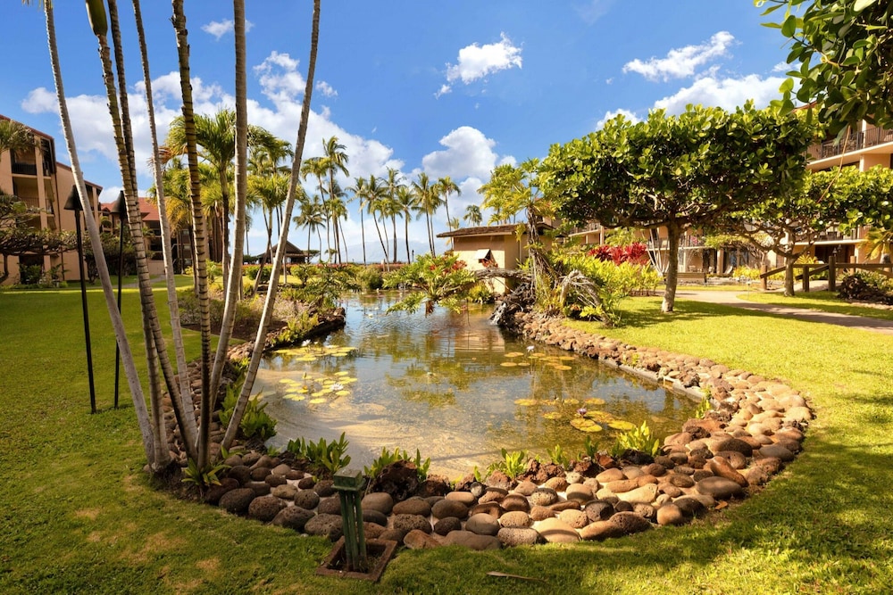 Panoramic Ocean View 1br Condo Suite 150 Feet From The Ocean At Papakea Ocean Front Resort 1 Bedroom Condo by RedAwning - photo 21