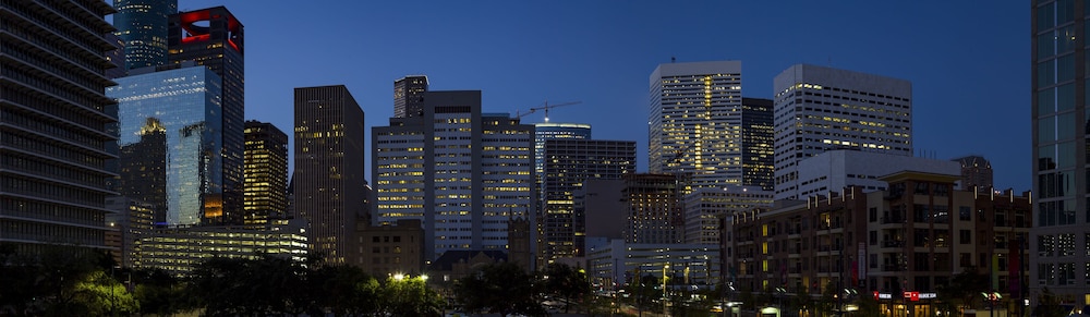 Holiday Inn Houston Downtown by IHG - photo 76
