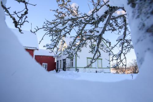 Strømnes Oldefars gjestehus Inderøy — Straumen — photo 3